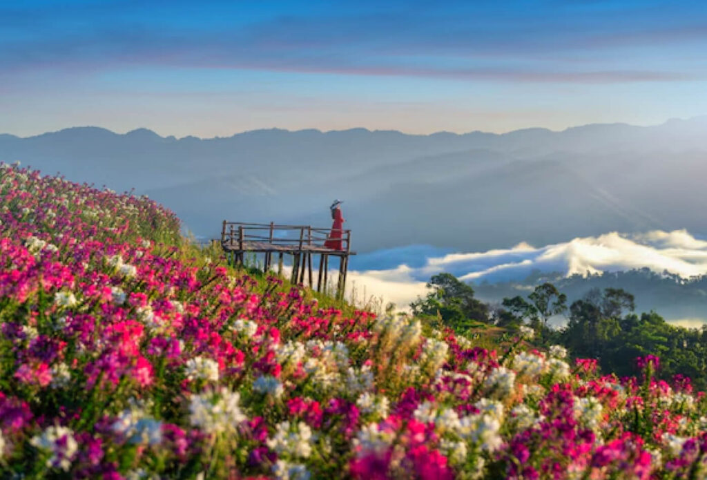 akerio-tours-chiang-rai