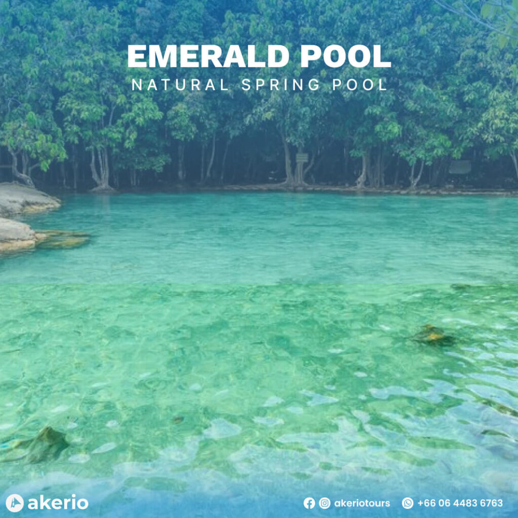 emerald pool krabi